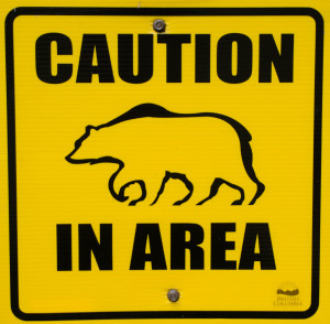 Caution Bear in Area (Schild)