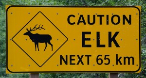 Warntafel »Caution ELK Next 65 km«