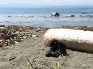 Blick auf den China Beach im Juan de Fuca Provincial Park