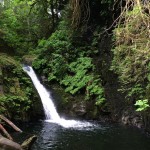 Wasserfall im Goldstream Provincial Park