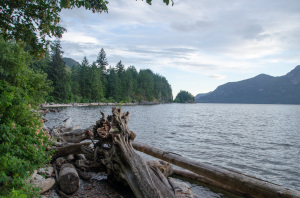 Treibholz in der Porteau Cove